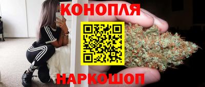 гидропоника Гусь-Хрустальный